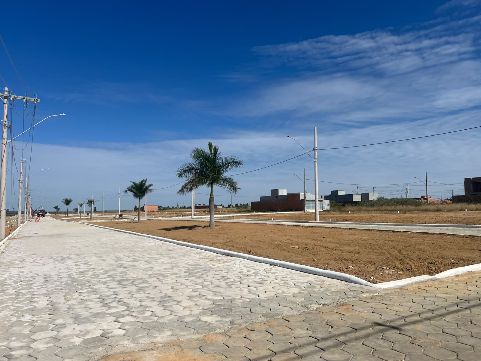 Infraestrutura da avenida